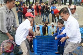 JK  Sebut Kasus Century Salah Aturan