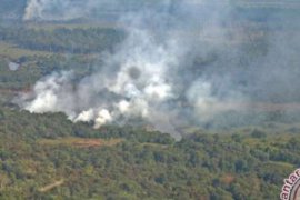 Perambahan Tesso Nilo Belum Jadi Perhatian di 2013 