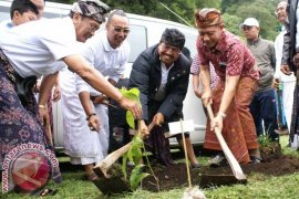 Caleg PDIP Tanam Pohon di Danau Tamblingan