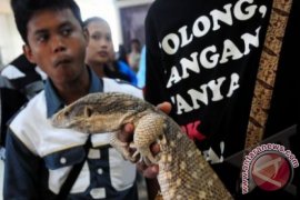 Pecinta Reptil Tegal 