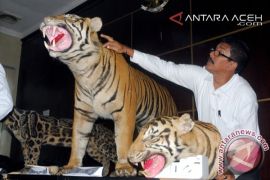 POLDA ACEH GAGALKAN PERDAGANGAN OFFSET