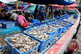 Maritime sector potential to turn out Rp3,000 trillion in income