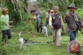 Tayangan Berburu Tidak Mendidik Masyarakat