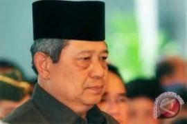 23 Januari, Presiden Jenguk Pengungsi Sinabung