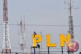 PLN Manfaatkan CPO sebagai Bahan Bakar Nabati