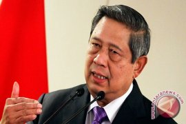 Presiden Kunjungi Peternakan Terintegrasi Di Sidrap