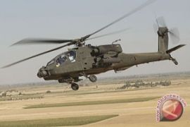 Militer Mesir tewaskan 22 gerilyawan