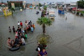 Petani Merapi Kirim Sayuran Untuk Korban Banjir