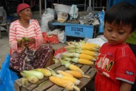 Pelancong Padati Sejumlah Lokasi Wisata Pacet