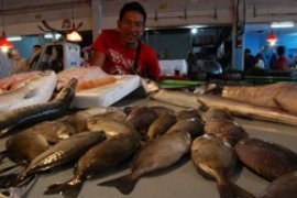 Nelayan Kepri Raup Rezeki Dari Ikan Dingkis