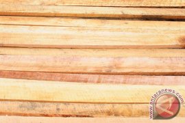 Tingkatkan Mutu Kayu Dengan Pengawetan Sebelum Dipadatkan