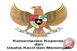 Kemenkop hadirkan PLUT KUMKM DIY
