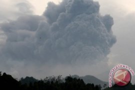 Hujan Deras "Bersihkan" Abu Vulkanik Kelud