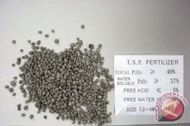 Adaro Serahkan Bantuan 2.100 Bibit Lada 