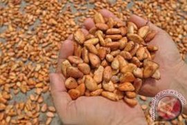 Bupati Minta Kemenperin Bangun Sentra-Kakao di Padangpariaman