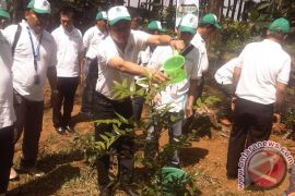 FIFGroup tanam 2500 pohon di hutan Sentul