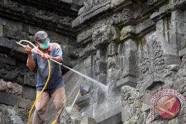 Abu Vulkanik Di Candi Sewu