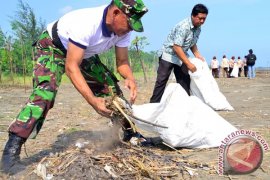 Pemerintah berencana bentuk satgas penanganan pesisir Pantura