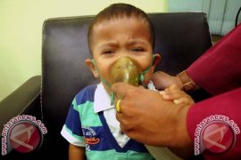 12 Tersangka Pembakar Lahan Riau Segera Disidangkan