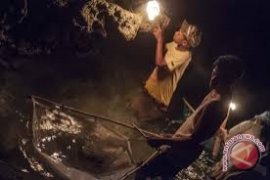 LIPI: Indonesia Belum Tahu Manfaat Cacing Laut