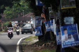 Walhi: Caleg Pasang APK di Pohon Jangan Dipilih