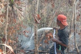 Sebelas titik kobaran api di Lingga