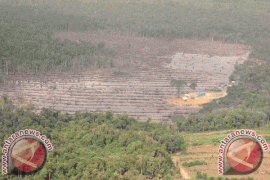 Kades Penjual Lahan Cagar Biosfer Ditangkap