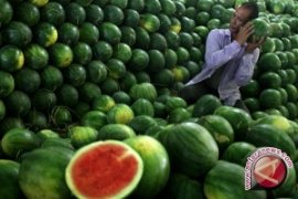 Mamfaat semangka untuk rambut hingga jantung