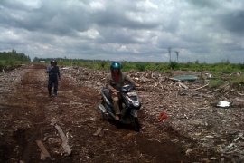 45,87 Persen Gambut Kubu Raya Berubah Fungsi 