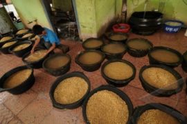 Harga Kedelai Turun, Pengusaha Tahu-Tempe Diuntungkan