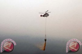 BNPB Wapadai Dampak El-Nino di Riau