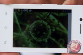 Ternyata peneliti pernah umumkan virus corona pada 2017