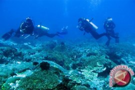 Possi Targetkan Cetak Penyelam Gorontalo Berprestasi 