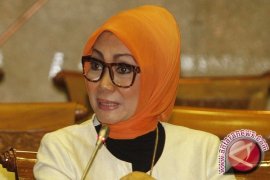  Okky: Jangan Dikotomikan Anggota DPR Dari Artis