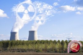 Survei: 75 % Penduduk Indonesia Dukung PLTN