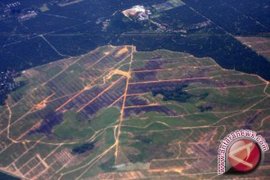 400 Izin Tambang Se-Kalsel Belum Dilaporkan