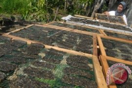 Dendeng Daun Singkong