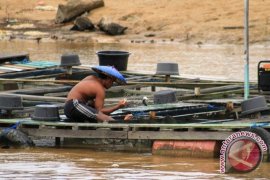 DKP Tenggarong Seberang Kenalkan SOP Budidaya Ikan