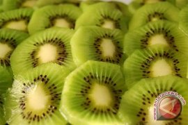 Buah Kiwi Sangat Baik Untuk Kesehatan