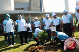 Bupati Tabalong Canangkan Gerakan Tanjung Hijau 