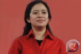 Puan Harapkan Ruhut Bawa Gerbong Dukung Jokowi-JK