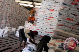 Stok beras Meulaboh cukup lima bulan ke depan