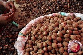 Masyarakat Italia Paling Meminati Pala Sulut