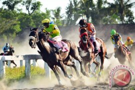 Kejuaraan Pacuan Kuda Page 1 Small