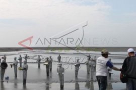 Senandung Kepak Camar di Pulau Sarinah