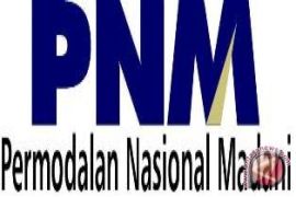 Urgensi transformasi PNM menjadi bank khusus