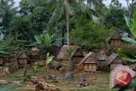 TNLL Tindak Tegas Perambah Hutan Lindung 