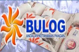 Bulog Bangka Bagikan Raskin ke-14