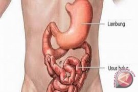 Bahaya kurang serat bagi pencernaan saat puasa
