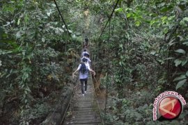 77 Kelompok Tani Diberi Izin Garap Hutan 